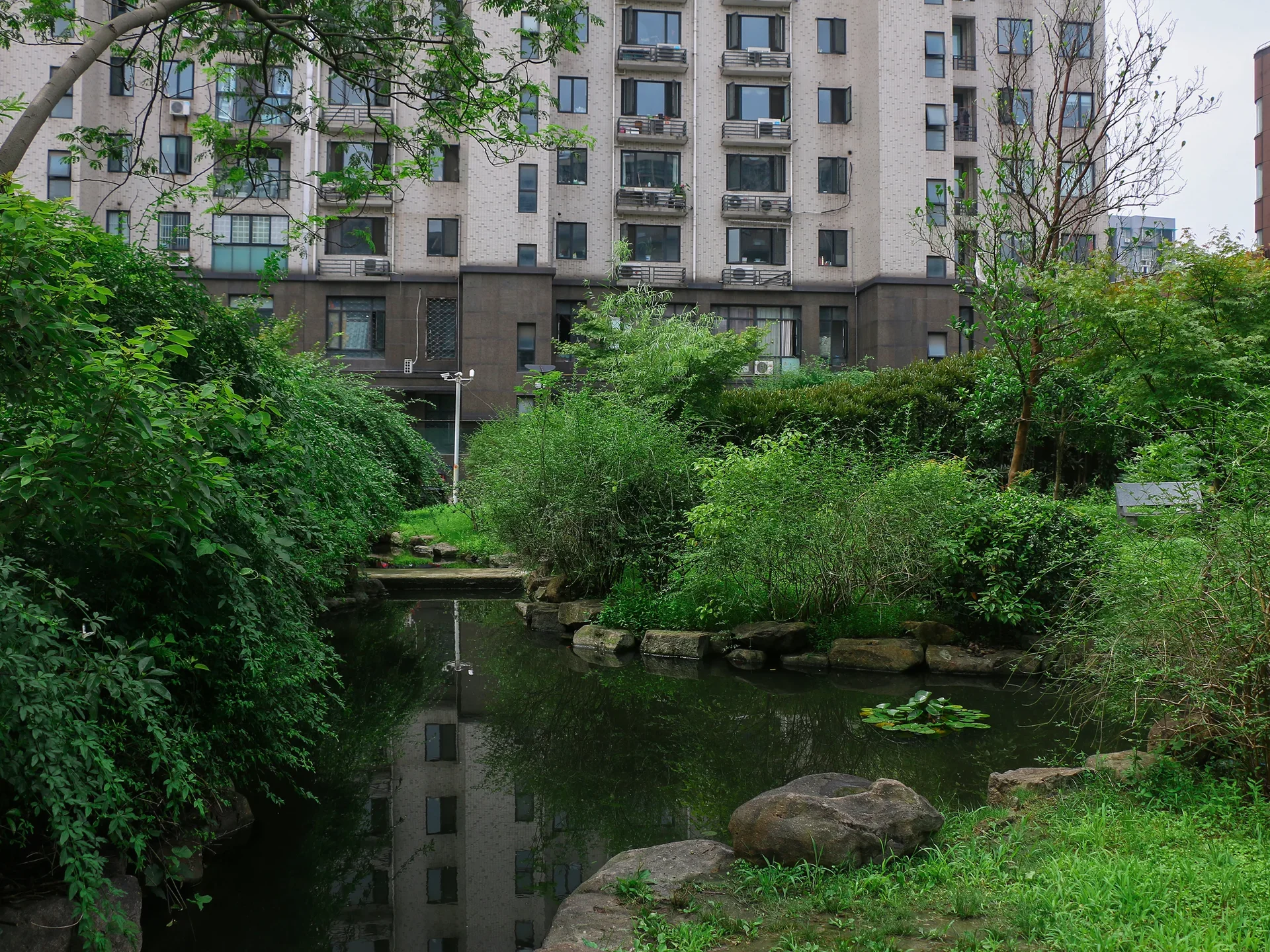 Natural Harvest Garden - Photo 2