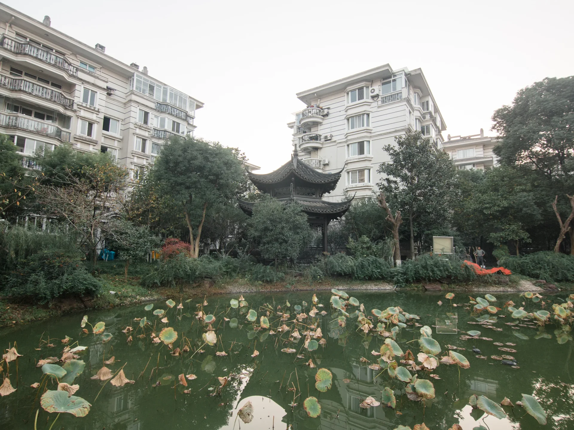 Eden View Garden - Photo 26