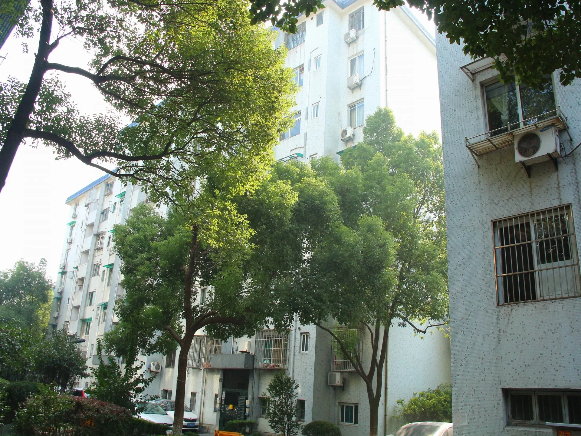 Nandu Garden - Photo 17