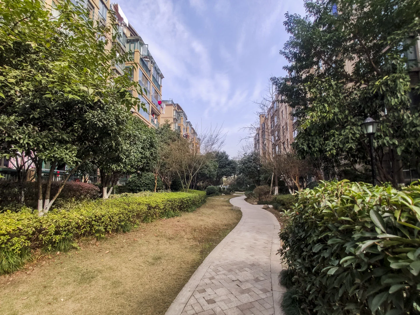 Flourish Garden - Photo 10