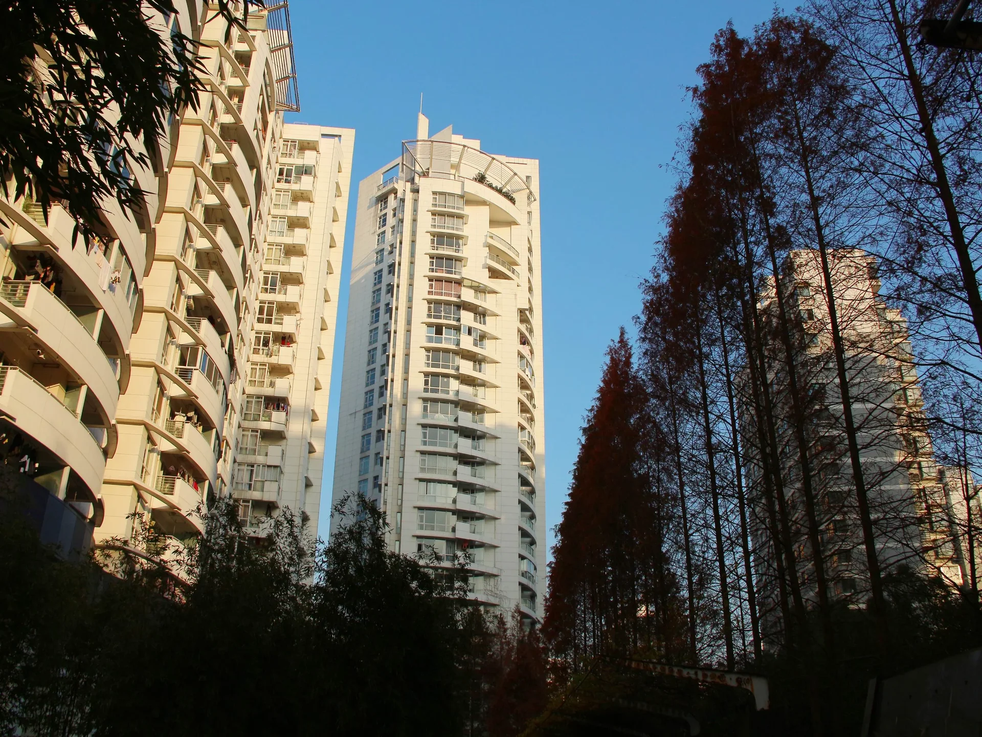 Narada Ginza - Photo 3