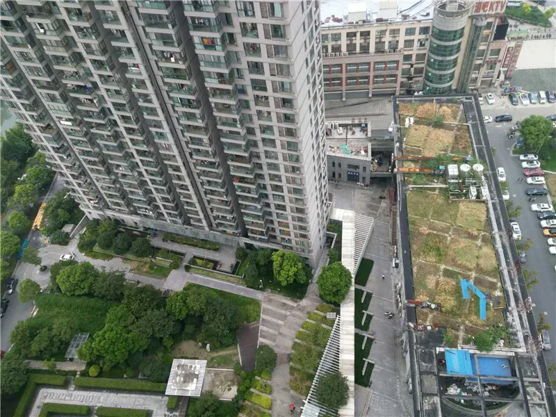 Enjoy Century - Photo 8