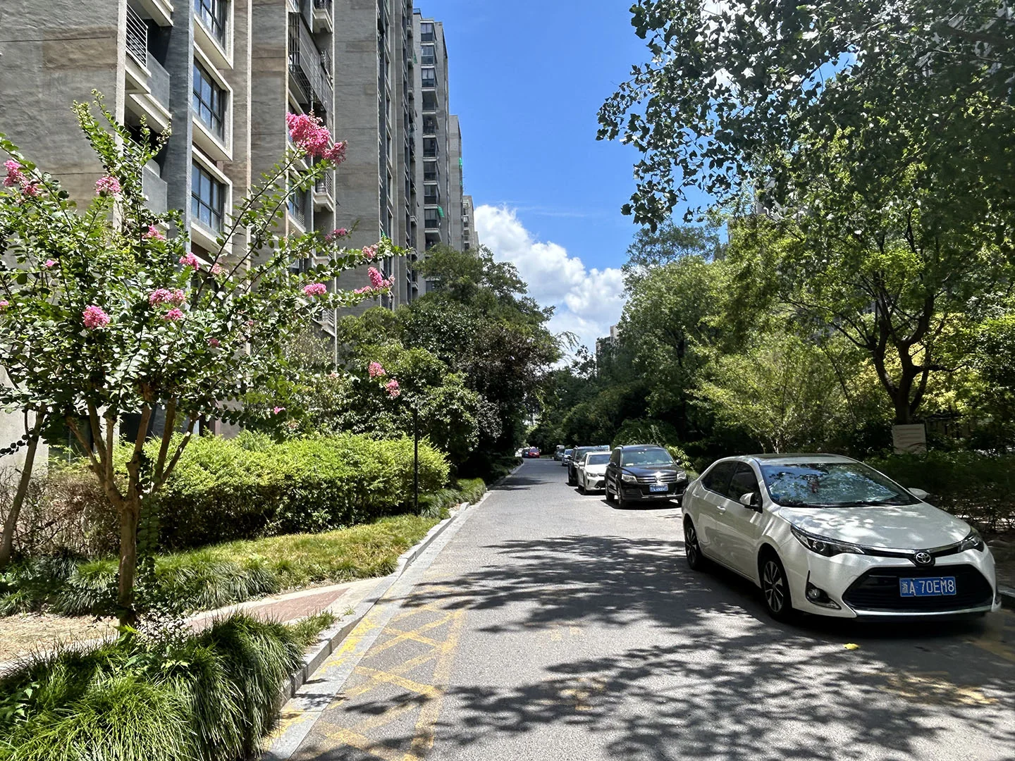 River And Mountain House - Photo 4