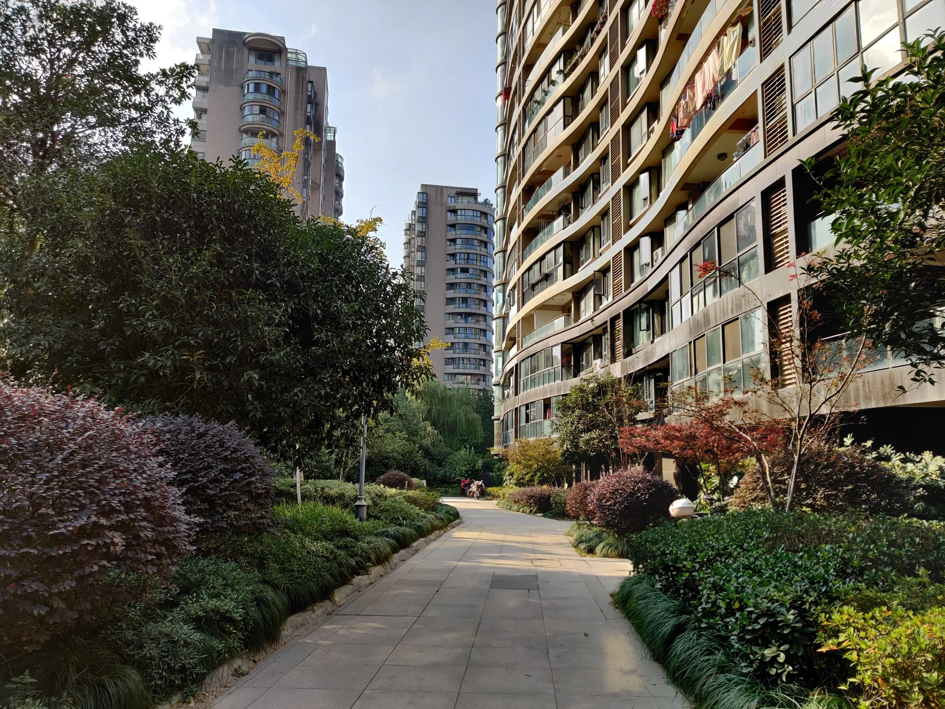 YJ Cultural Garden - Photo 22