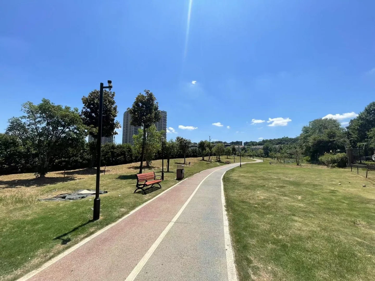 Glorious Garden - Photo 32