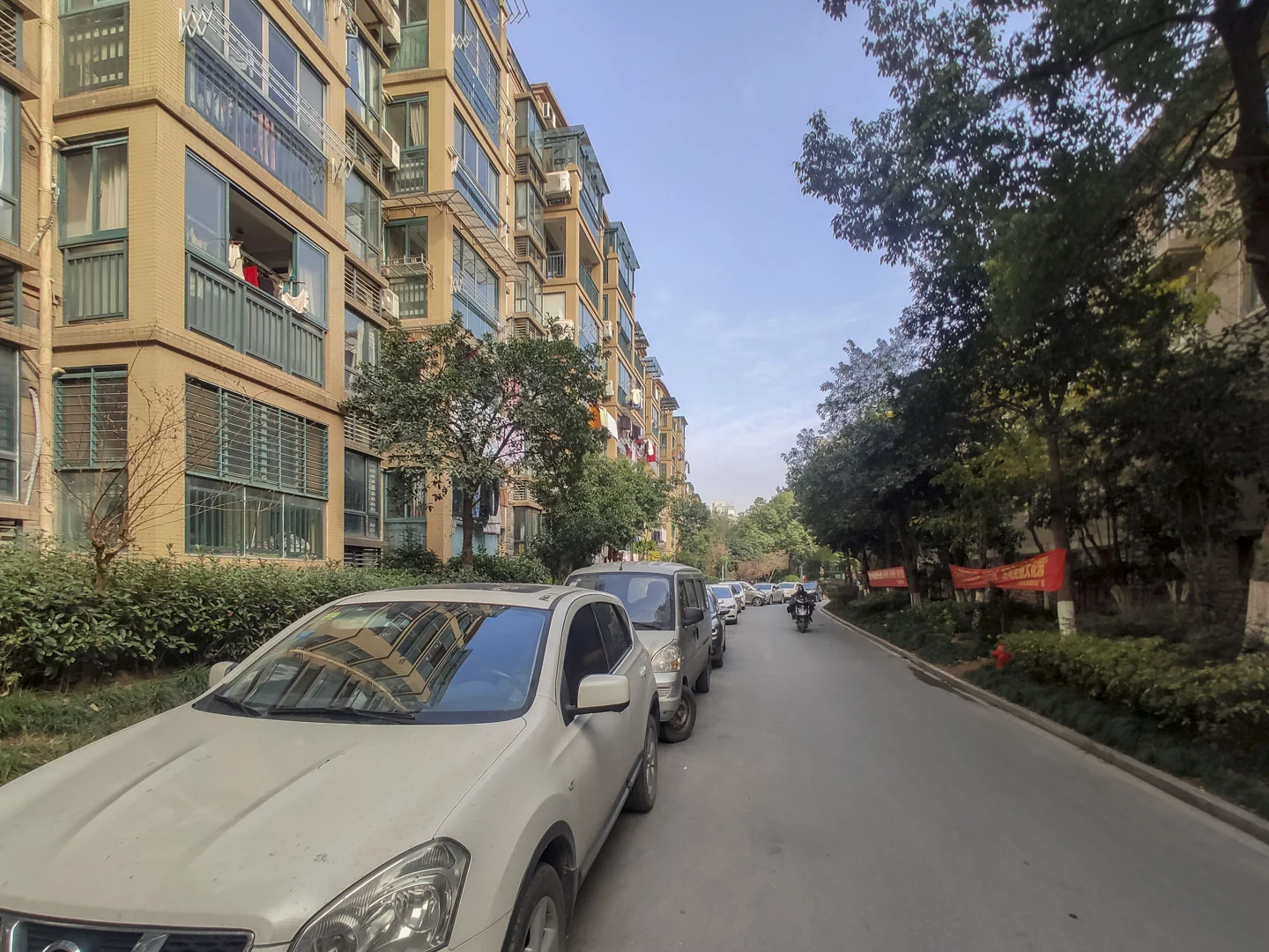 Flourish Garden - Photo 24