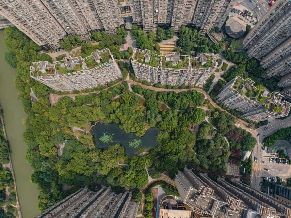 Modern  Garden - Photo 1