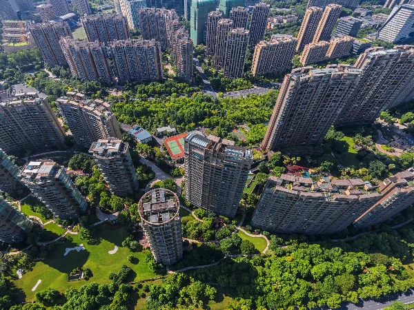 The Dreamland - Photo 1