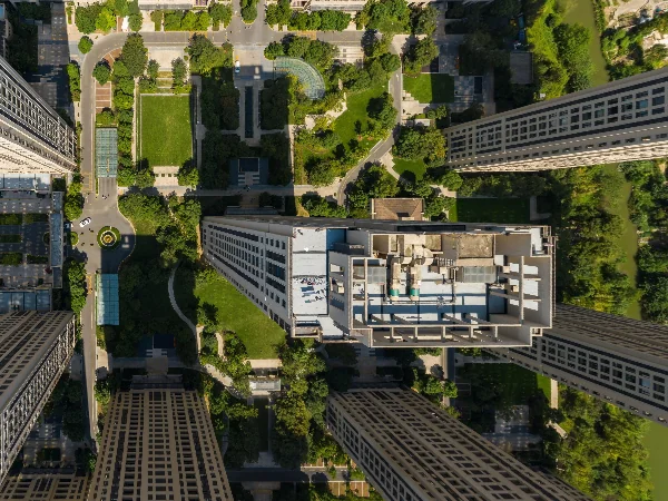 Golden Dawn Light - Photo 1