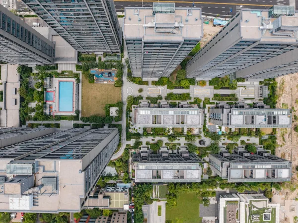 Osmanthus Jiangnan - Photo 1