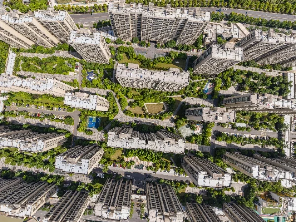 The Honor of City - Photo 1