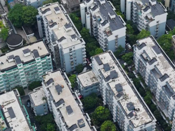 Rouge New Village  - Photo 1